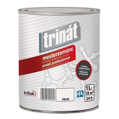 TRIN�T MESTERZOM�NC 1L